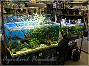 アクアランドはなばた