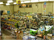 アクアランドはなばた