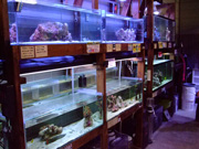 アクアランドはなばた