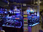 アクアランドはなばた