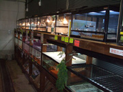 アクアランドはなばた