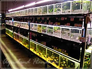 アクアランドはなばた